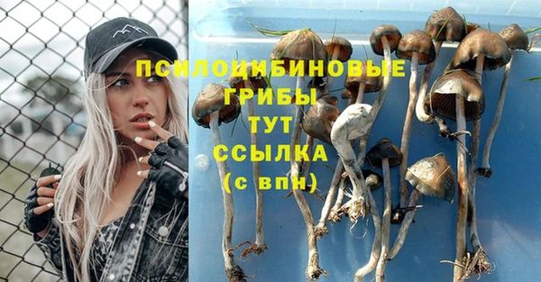 кокаин Алексеевка