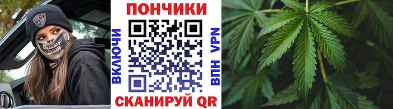 МАРИХУАНА гибрид  Искитим 